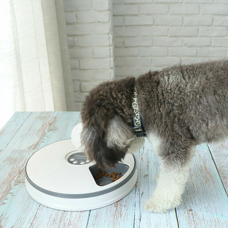 Automatic 6 Day Meal Timed Pet Dog Cat Feeder Food Bowl Auto Holiday Dispenser